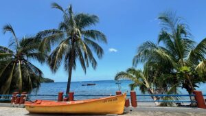 martinique cila