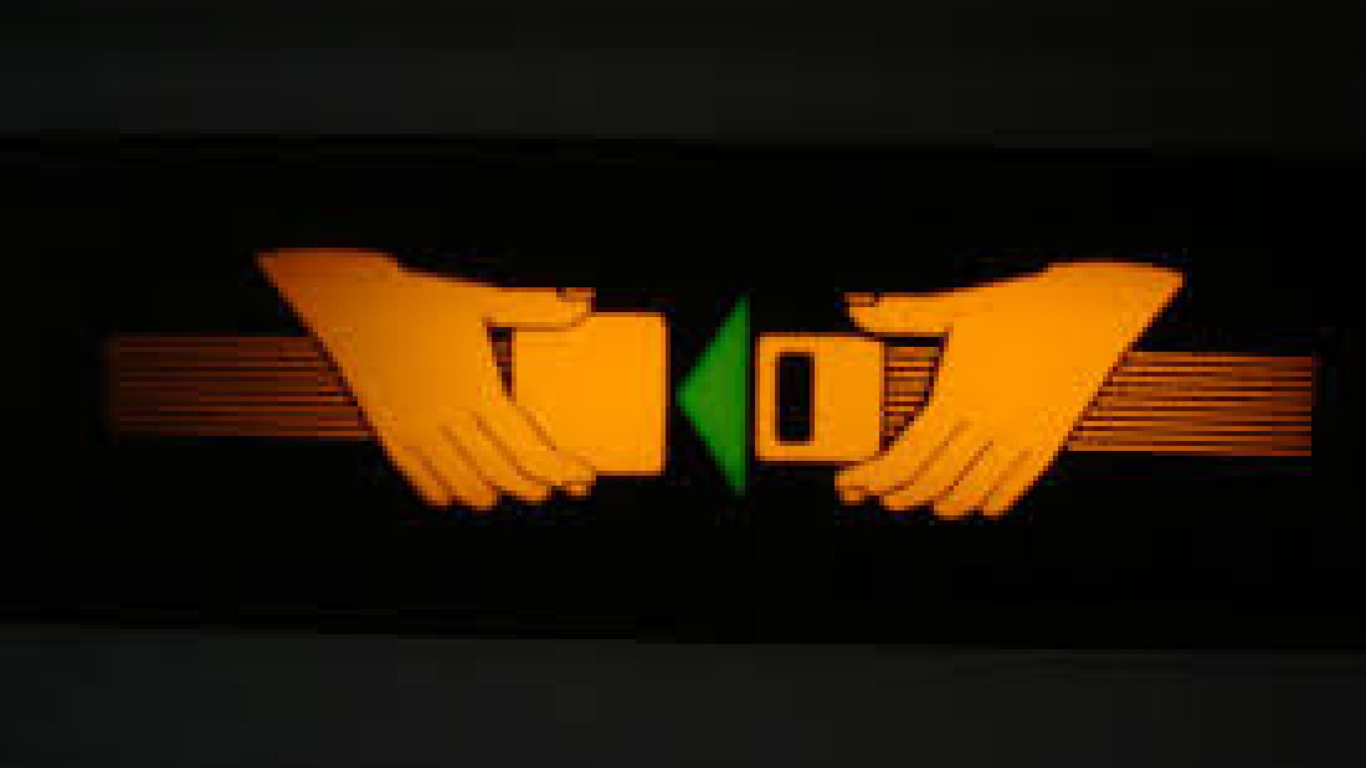 2282-cover-seatbelt