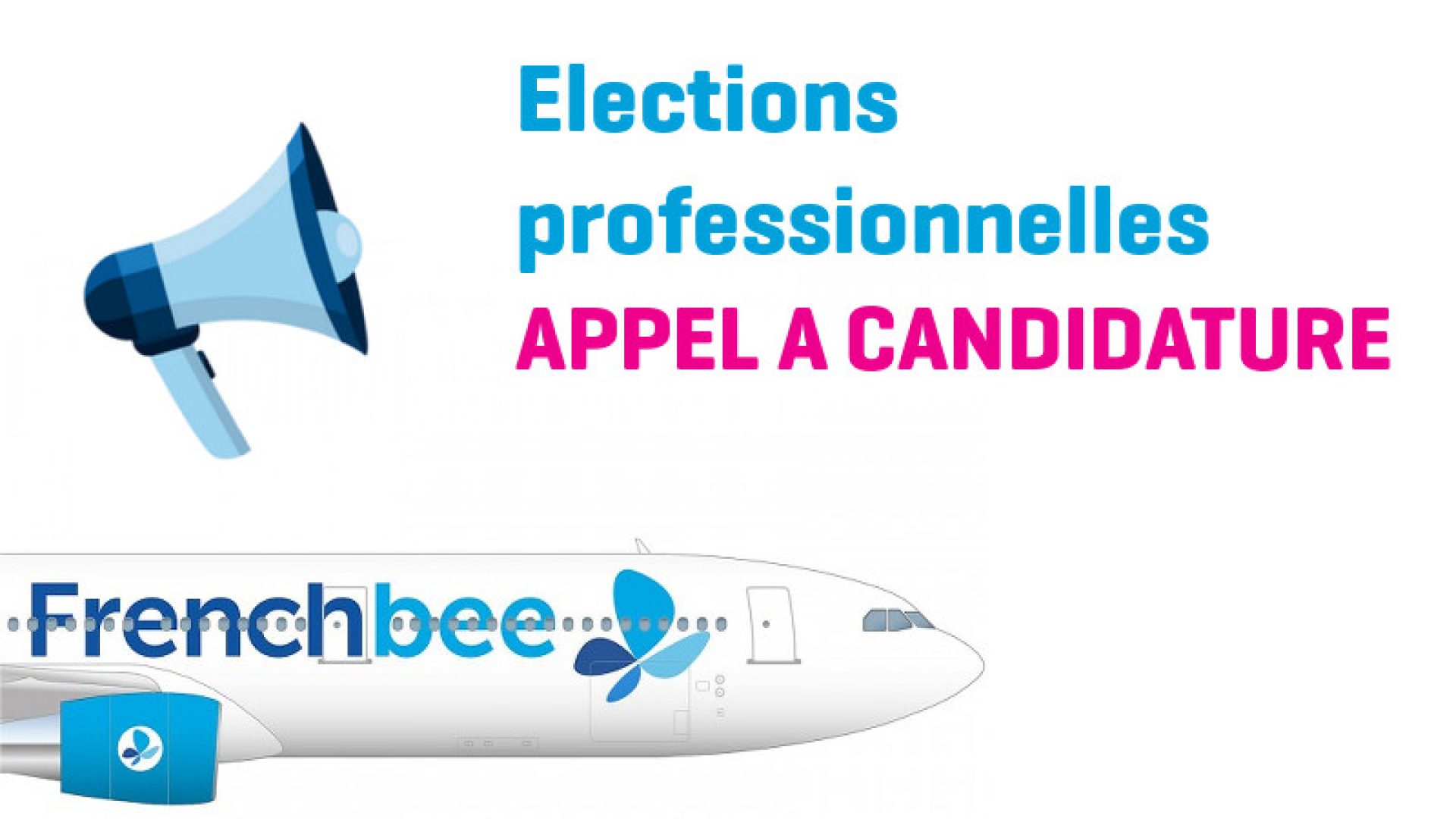 3038-cover-candidaturefrenchbee