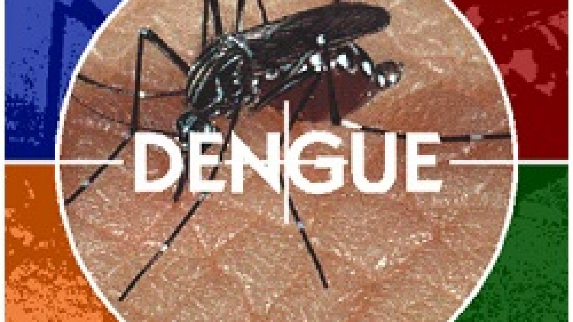 576-cover-dengue