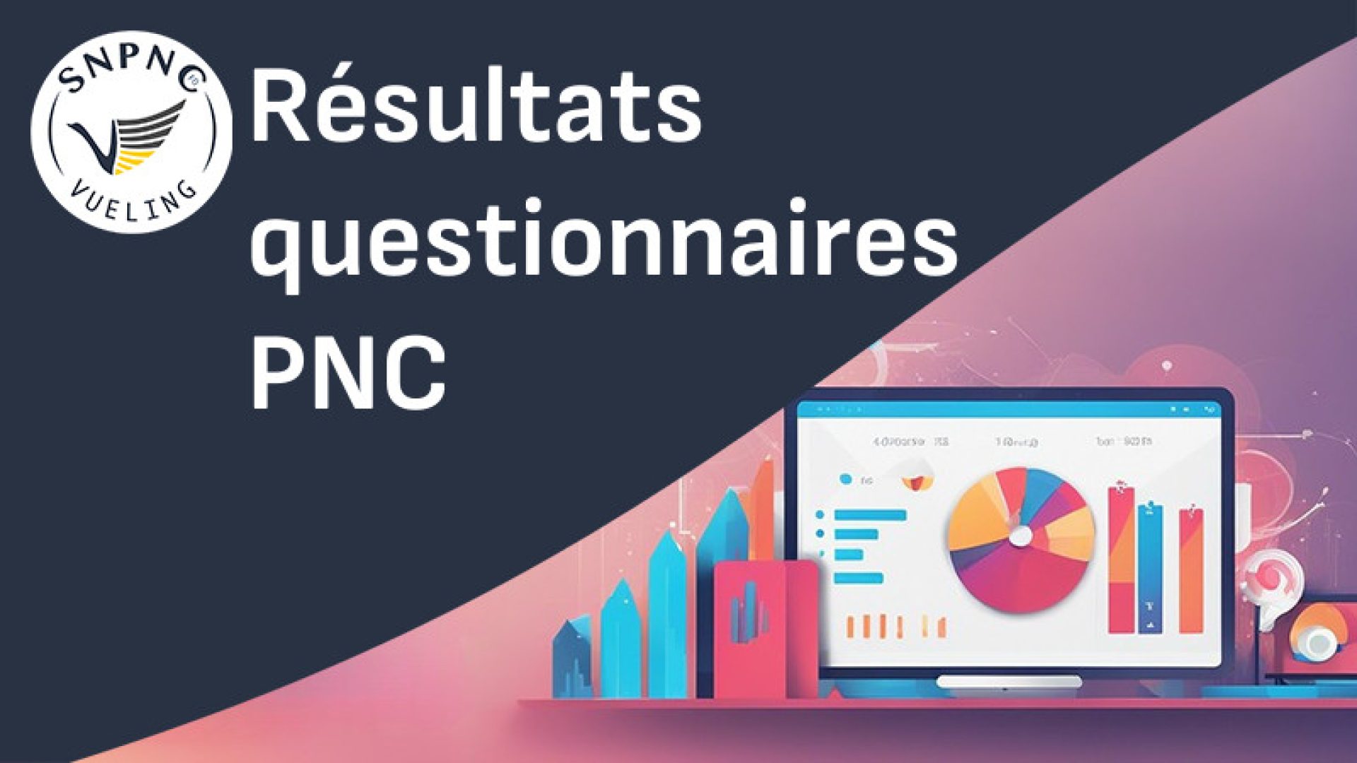 visuel site resultats consultation PNC
